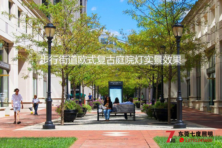 叼嘿直播APP照明-步行街道欧式复古庭院灯安装实景效果图片