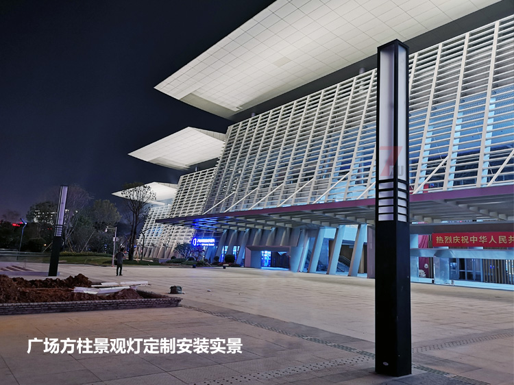 东莞市民服务中心广场中轴定制叼嘿软件免费下载安装实拍效果